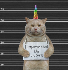 The beige cat with a placard on his neck that says I impersonated the unicorn is in the prison. Black lineup background. © iridi66