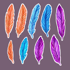 This illustration is a set of colored feathers drawn by hand with markers and liners. Each feather is on a gray-violet background and is surrounded by a white outline.