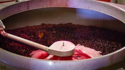 A modern wine press smashes grapes for grape juice and red wine in a winery in France.