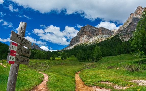 Hiking trail in Italian Dolomites in spring (blooming flowers), Pian dei Menis with a view on majestic mountains, at background peak of Lagazoui, Alps, Cortina, Veneto, Italy.
