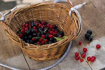 Fototapeta na wymiar Red and black currants in a wicker basket close up on a wooden table in the village garden.