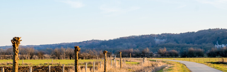 Road through dutch polder landscape