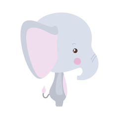 Cute elephant cartoon vector design