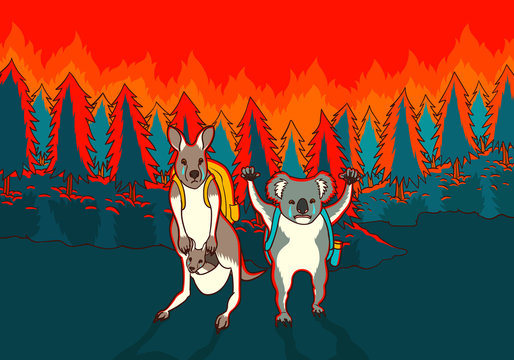 Sad Kangaroo And Koala Escaping From Australia Bushfires