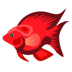 Isolate cartoon illustration of golden fish. Ocean cute animal character. 