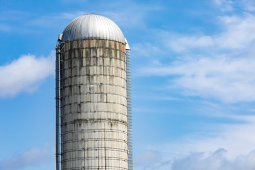 Details of an older concrete stave grain tower silo, storage of wheat, rice and cereal at an agrarian farm against a blue sky with copy space to right