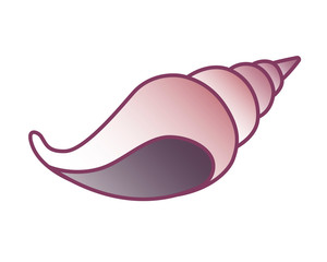 Shell. Marine, spiral, conical shell of a marine mollusk. Ocean clam, snail - vector full color picture. Sea animal.