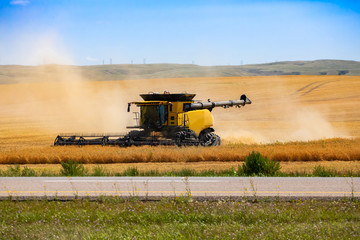 A wide angle view of a modern combine harvester at work in a golden crop field with copy space,...