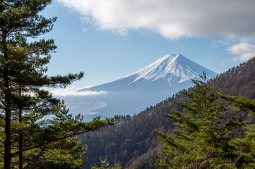 Fototapeta premium 三つ峠山からの富士山の風景