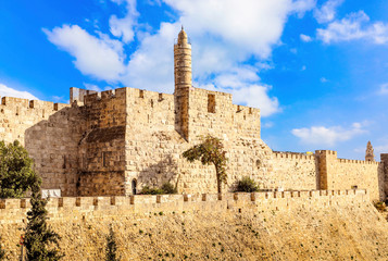 Naklejka premium The Tower of David