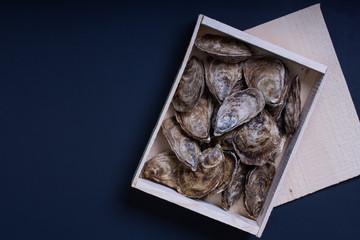 Wooden Box of Fresh Oysters on Dark Background.