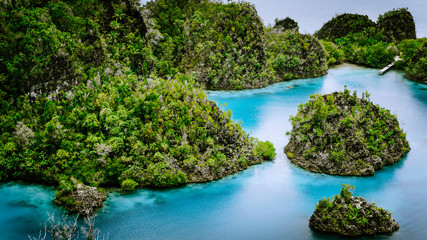 Fototapeta premium Pianemo Islands, Blue Lagoon with Green Rocks, Raja Ampat, West Papua. Indonesia