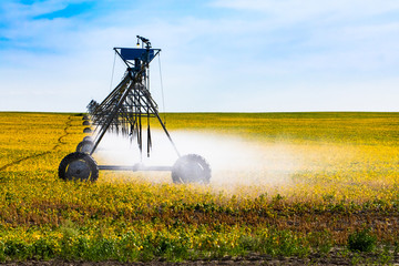Fine water mist is seen coming from a portable pivot irrigation system on wheels, crop cultivation...