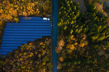 Solar panels in Autumn Forest, Sun rises over Shiga, Japan