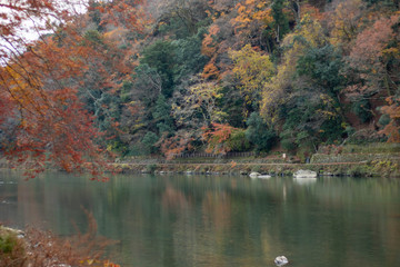 Autumn Colors Reflecting in Arashiyama Mountains, Kyoto, Japan