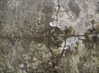 texture of gray cracked cement, element for the designer, full frame