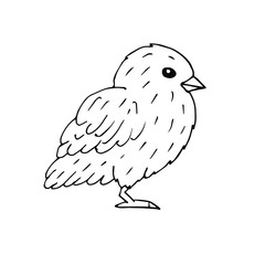 Vector hand drawn doodle sketch baby chick isolated on white background