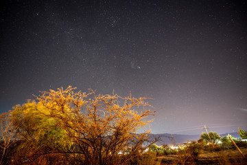 Night landscape, where several constellations and stars are appreciated, as well as a terrestrial landscape illuminated by artificial light. Winter night landscape in Mexico and natural city