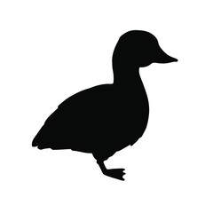 Vector black baby duckling duck silhouette isolated on white background