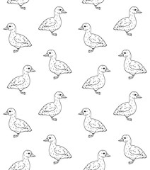 Vector hand drawn doodle sketch baby duckling duck isolated on white background