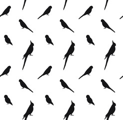 Vector seamless pattern of black different parrots silhouette isolated on white background