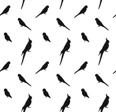 Vector seamless pattern of black different parrots silhouette isolated on white background