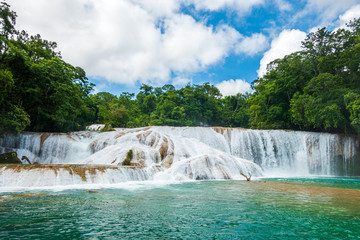 Cascadas de Agua Azul, México © Natalie