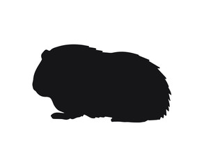 Vector black Guinea pig silhouette isolated on white background