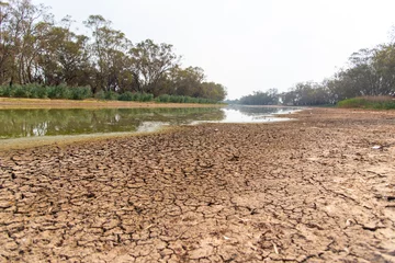 Poster The drought river in summer of Bogan river at Nyngan regional town of New South Wales, Australia. © arliftatoz2205