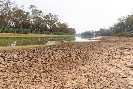 The drought river in summer of Bogan river at Nyngan regional town of New South Wales, Australia.