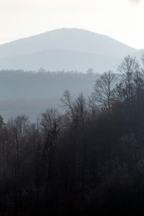 Fototapeta premium View of the North Hungarian Mountains from the Medves plateau