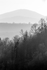 View of the North Hungarian Mountains from the Medves plateau