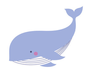 Cute whale cartoon vector design