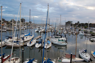 Boats at Santa Cruz Harbor