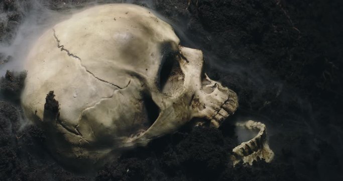 Human skull on the wet soild with smoke flowing
