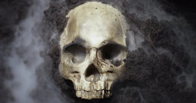 Human skull on the wet soild with smoke flowing