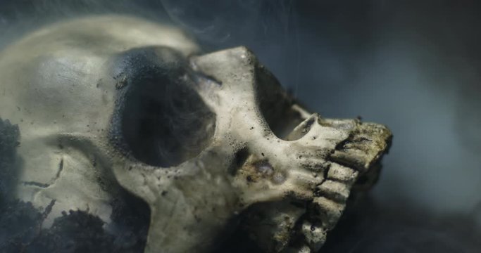 Human skull on the wet soild with smoke flowing