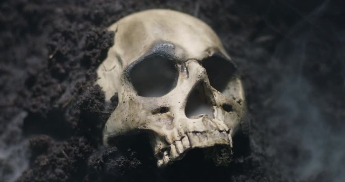 Human skull on the wet soild with smoke flowing