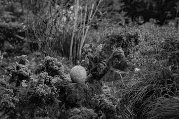 日本　風景　冬　朝