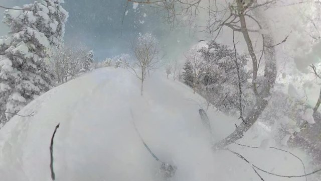 SELFIE: Young man tree skiing in Park City falls into the deep powder snow. Male tourist on fun off-trail skiing trip in Utah crashes into the freshly fallen soft snow. Funny shot of a skier crashing