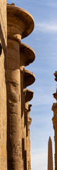 Karnak Temple, complex of Amun-Re. Embossed hieroglyphics on columns. The large courtyard of the...