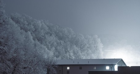 Snow Covered Trees at Night Standing Over Building Blue Hue