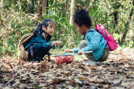 diverse people of asian and african american children playing together in forest during summer camp