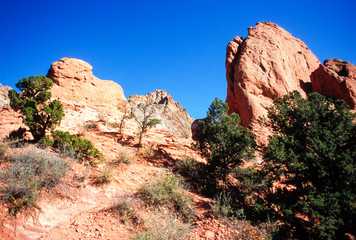 Fototapeta premium Cathedral Spires, Garden of the Gods, Manitou Springs, Colorado