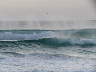 Summer morning at the beach with high tide and high winds.