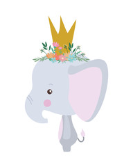 Cute elephant with crown vector design