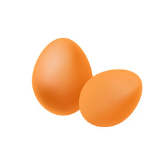 Vector egg illustration design  Light white background