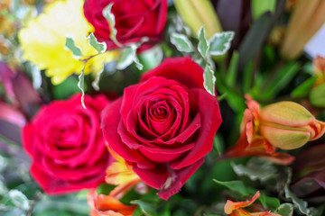 flower arrangement, bouquet of flowers