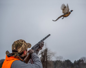 Young male takes aim at a ringneck pheasant as it takes flight. Wearing camoflage and shooting a rifle.