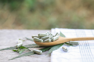 Herbal medicine from organic cannabis leaf tree for health care eating in daily life 